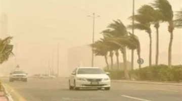 تحذير الأرصاد.. شبورة وأمطار تطال القاهرة وعدة محافظات خلال الساعات القادمة